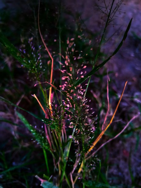 黑暗。图片下载