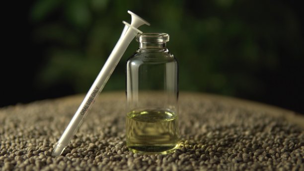 装有cbd油和种子的玻璃罐子。水培和水耕共生是大麻的生物和生态大麻植物、中草药。图片下载