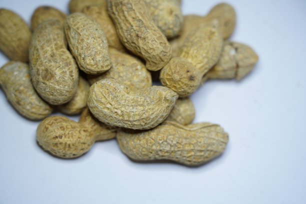 花生壳有机干果零食图片下载