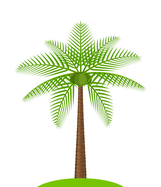 椰子树简单孤立在白色，插图椰子树，椰子树为剪贴艺术，棕榈树在小山丘岛上图片下载