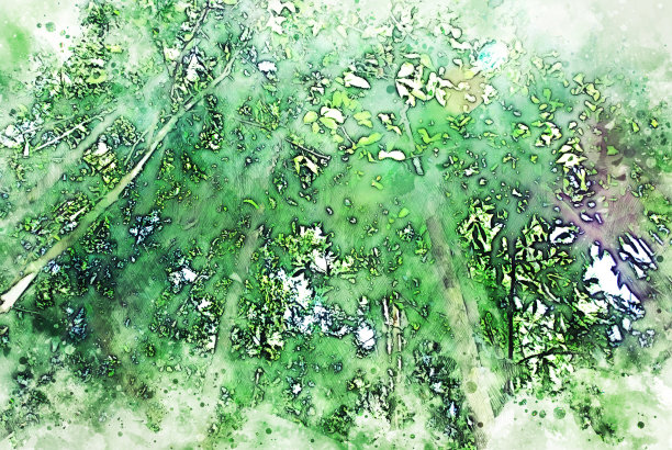 在水彩插画的背景上抽象彩色绿色形状的树枝。图片下载