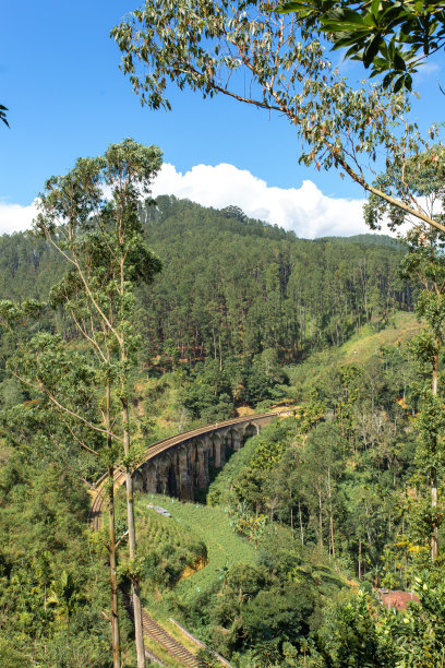 斯里兰卡丛林中著名的九拱桥铁路图片下载