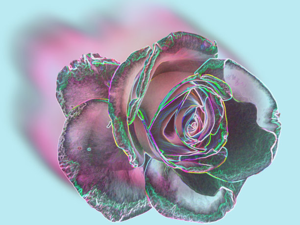 模糊的粉色玫瑰与突出的霓虹灯轮廓图片下载