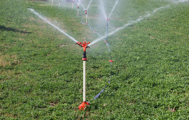 采购产品灌溉设备，农业水洒水器灌溉农场植物作物田-三叶草田图片下载