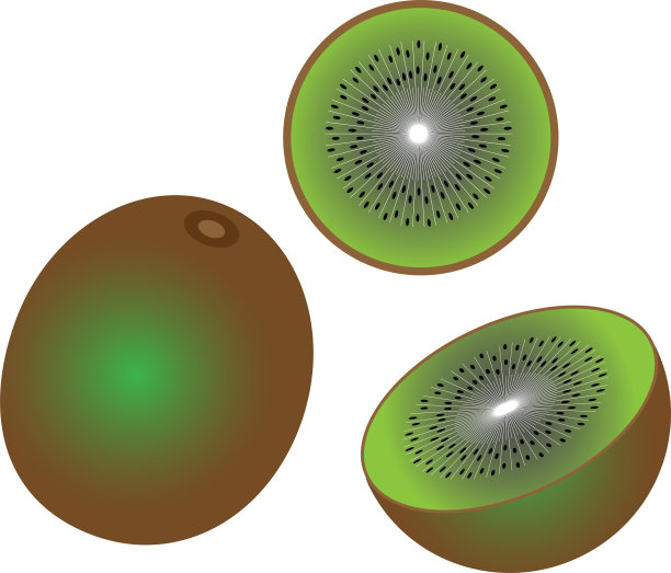 奇异果矢量图像的整个水果和切片图片下载