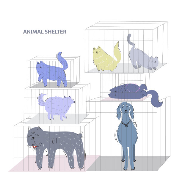 动物收容所图片下载