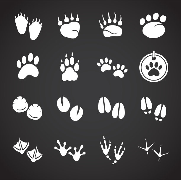 动物脚印图标设置在图形和网页设计的背景。创意插图概念符号的web或移动应用程序。图片下载