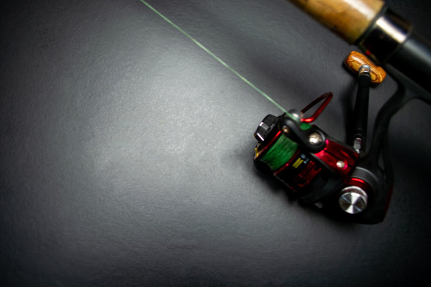 鱼饵鱼，鱼竿，在黑色的背景上图片下载