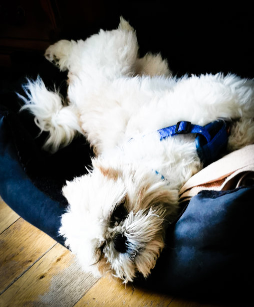 爱和归属感图片下载