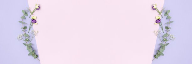 框架由桉树，口气孔和gypsophila花。紫色横幅与地方的文本。图片下载