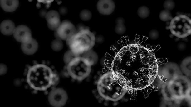 冠状病毒感染医学插图。显微镜下病毒的特写。3 d渲染。图片下载