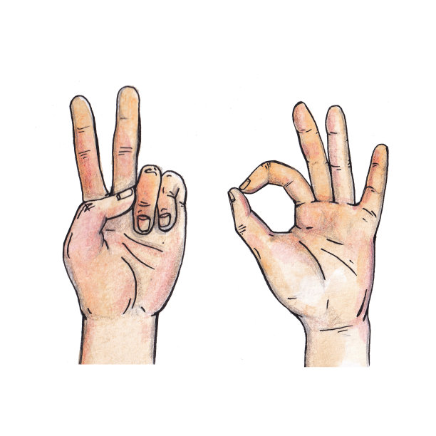 水彩插图的两只手，手势在一个孤立的白色背景图片下载
