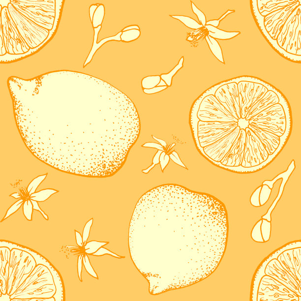 手绘柠檬，柠檬片，柠檬树花无缝图案在橙色的背景。柑橘无尽的印花为您的设计。可爱的水果壁纸。图片下载