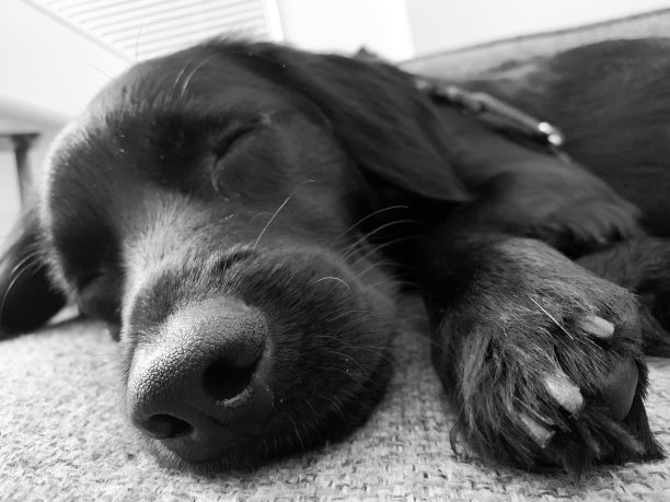 美味地困图片下载