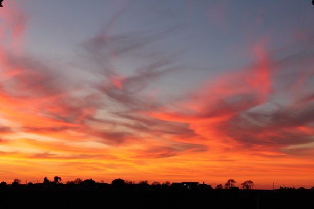 加州的日落图片下载