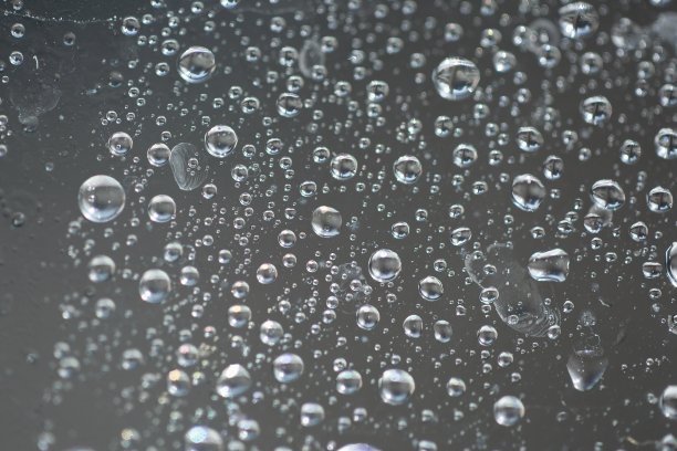 阳光下瞬间的精华图片下载