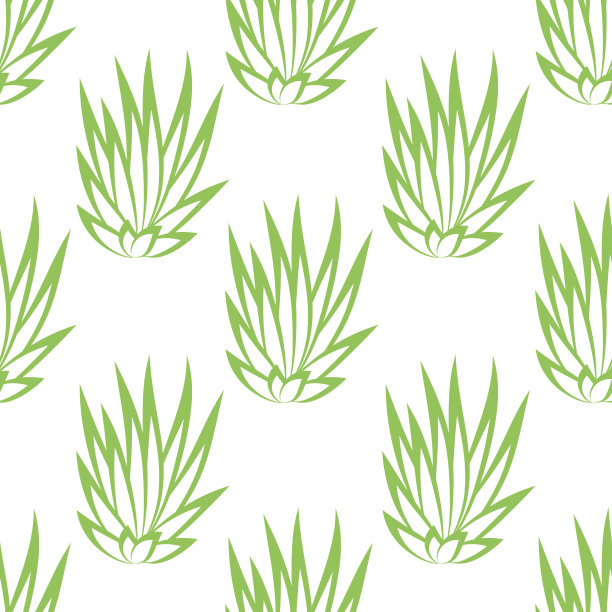 白色背景上的线形肉质灌木无缝图案。矢量插图。图片下载