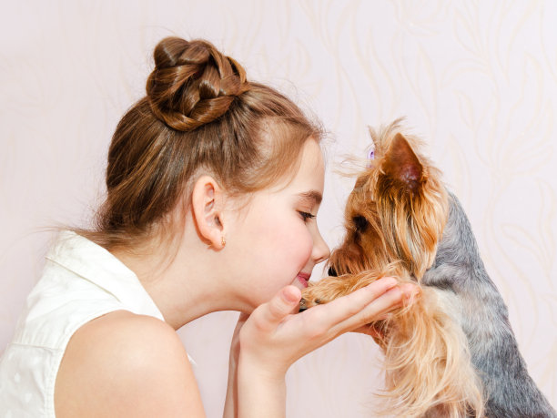 微笑的小女孩小学生抱着和玩宠物狗约克郡梗图片下载