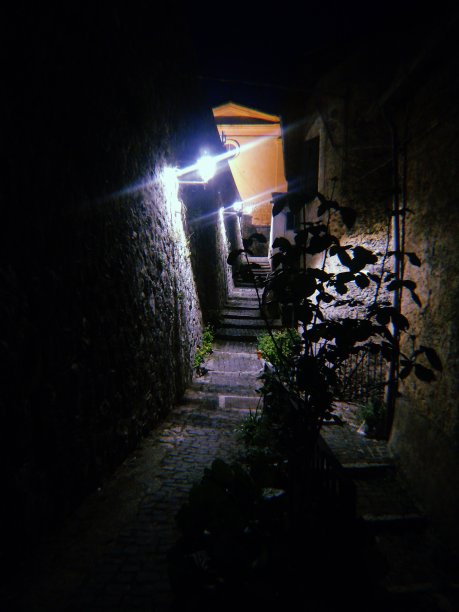 乡村的小路上图片下载