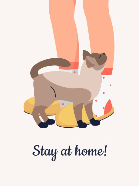 穿着舒适拖鞋的人的脚和暹罗猫，还有文字呆在家里!图片下载