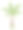 矢量热带棕榈树修剪艺术。丛林植物插图。手绘的外来植物孤立在白色的背景。明亮幼稚的夏季绿色植物插图。图片下载