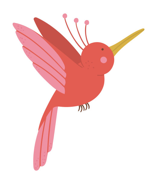 向量可爱有趣的飞行天堂鸟孤立在白色的背景。有趣的热带奇异的鸟插图。明亮的平面图片为儿童。丛林夏日剪贴画图片下载