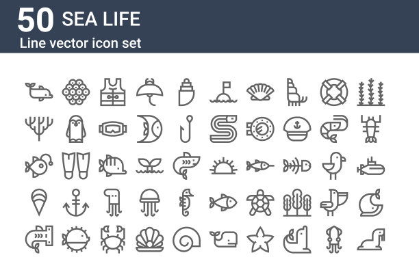 一套50个海洋生物图标。勾勒细线图标如海狮，鲨鱼，蛤，琵琶鱼，珊瑚，鱼子酱，海胆图片下载