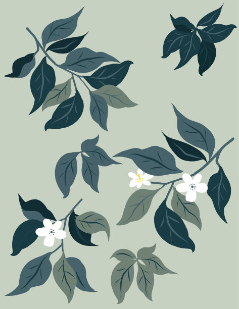 叶和花集合图片下载