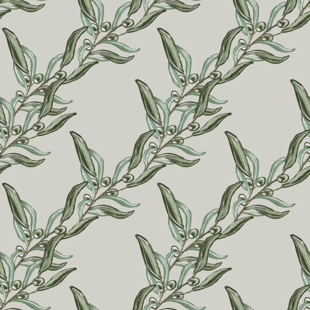绿色橄榄枝与油绘制在浅色的背景，插图图片下载