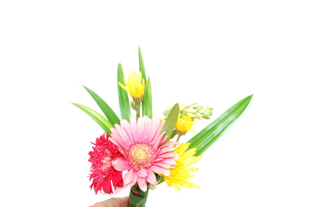 一朵混合花束孤立白色图片下载