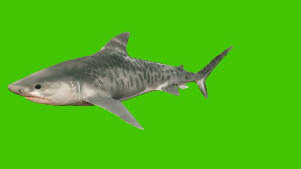 一条大鲨鱼在水下游动，嘴巴张得大大的，满是锋利而危险的牙齿。三维渲染图片下载