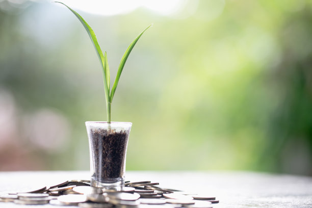 苗木在生长玻璃周围放着硬币。种植幼苗以减少全球变暖。绿色幼苗从幼苗成长为树木。有输入文本的空间。图片下载