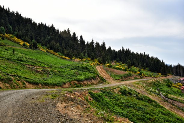 高原小路istock照片绿色背景图片下载