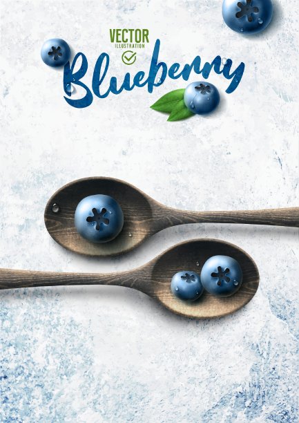 矢量现实的蓝莓插图，木勺和树叶在白色的石头背景图片下载