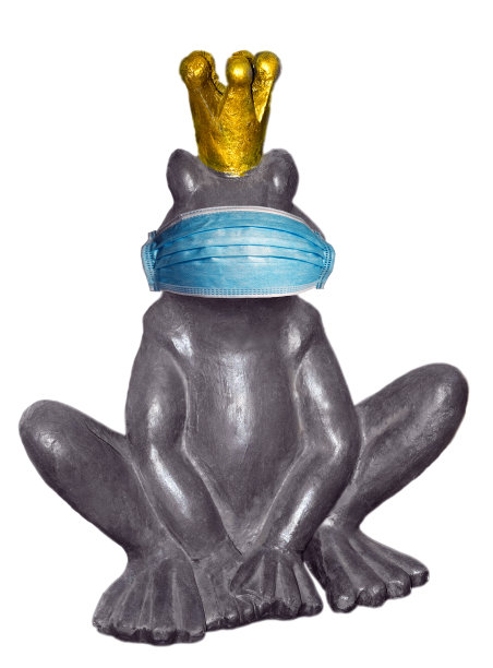 青蛙皇后在脸上污染口罩Corona流感预防感染。图片下载