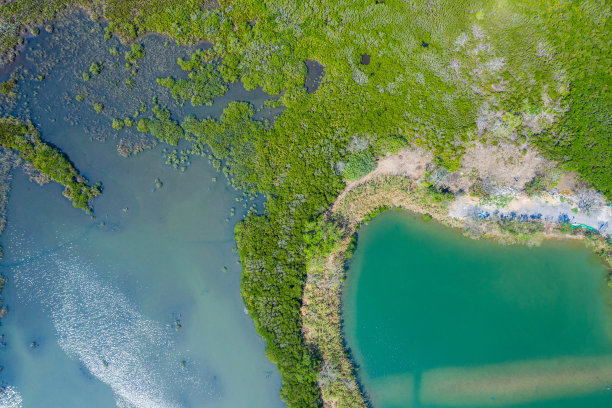鸟瞰香港边境的鱼塘图片下载