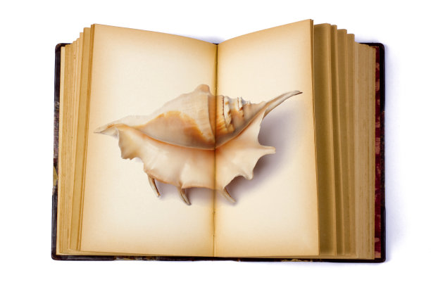 用贝壳打开书图片下载