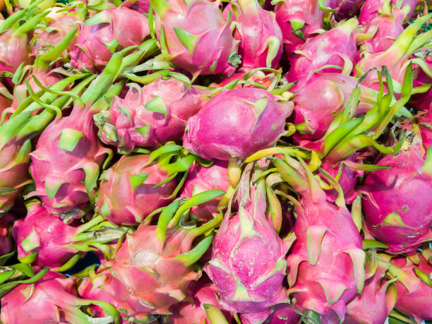 龙的水果图片下载