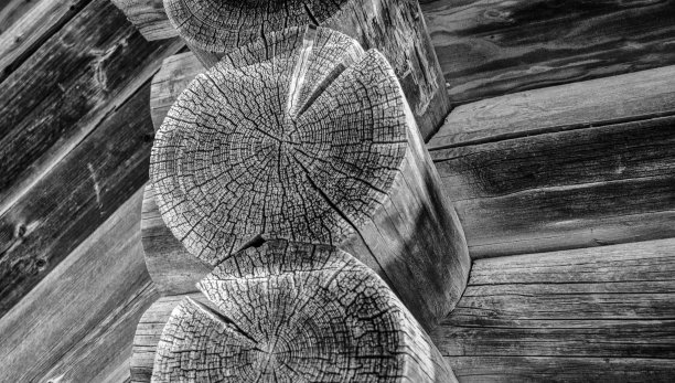 建筑原木边缘的纹理。砍一根旧木头回家。冬天的冰。黑色和白色图片下载