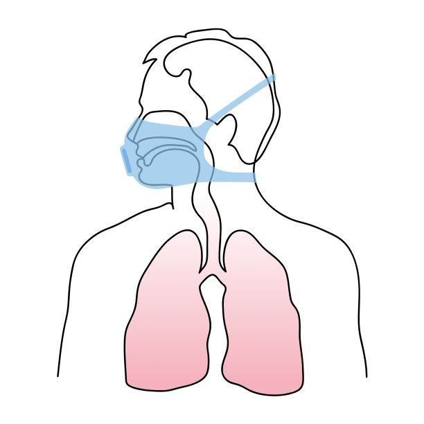佩戴医用口罩保护人体。人体呼吸系统的解剖学。医学健康肺解剖载体图解图片下载