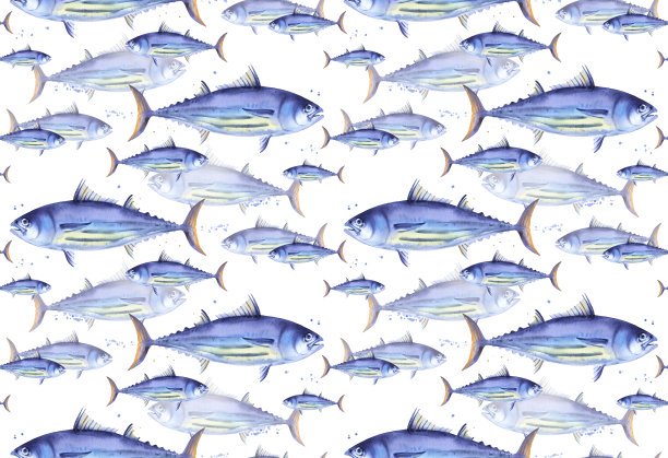 条纹金枪鱼，鲣鱼金枪鱼图案图片下载