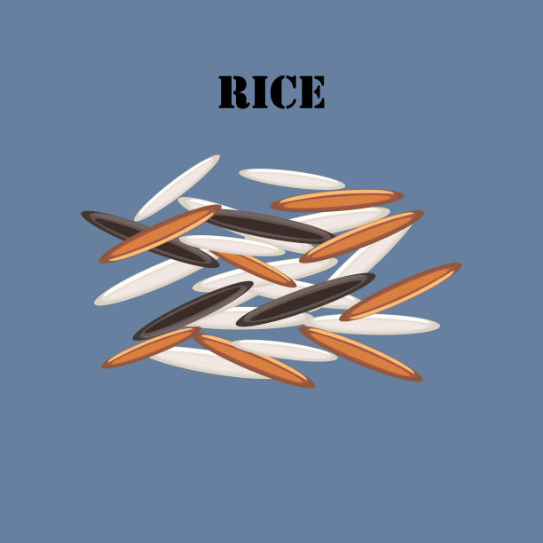 水稻籽粒健康有机营养载体说明图片下载