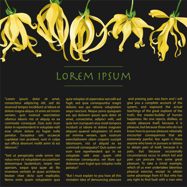 依兰花的水平线在黑色背景与文字。花卉插图与黄色热带花卉杂志页图片下载