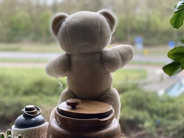 团结泰迪熊图片下载