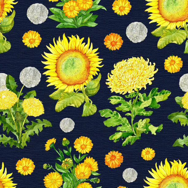 无缝图案与向日葵，蒲公英和金盏花在蓝色的背景。图片下载