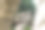 一个巨大的龙头雕像在一个绿色的公园图片下载