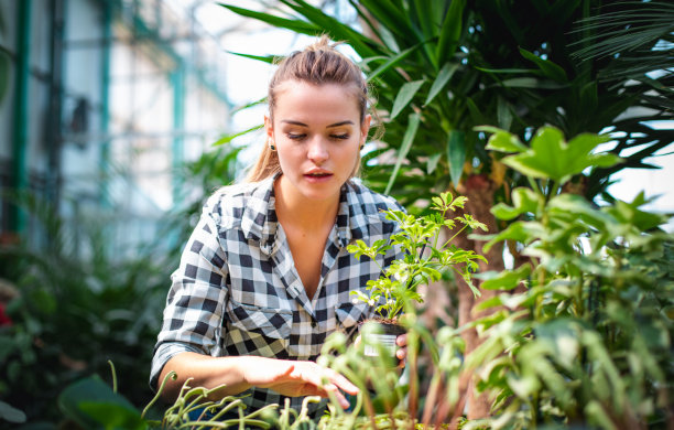 女人在园艺中心挑选植物图片下载