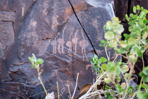 Abourma的洞穴壁画图片下载