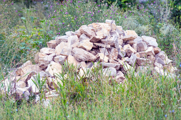 草丛中一堆灰色的石头图片下载