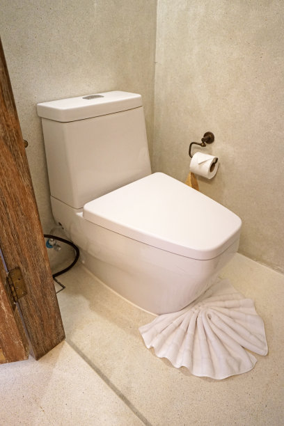 卫生间的室内设计和装饰图片下载